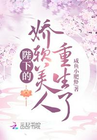 杨家将寡妇风流小说