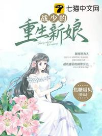 黑皮书完整版