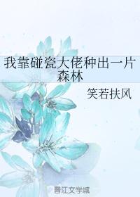 海贼王风之动漫漫画