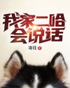 密室逃脱绝境系列11