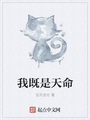 猫咪网站官方网站