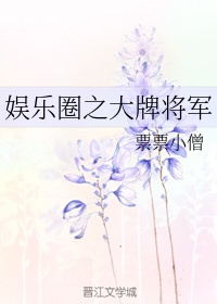 将军抢亲记