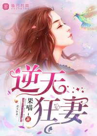 上校夫人的年轻侄女们