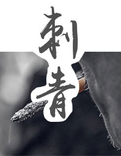 诗晴后传8一20连载小说