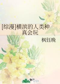 九龙戏凤