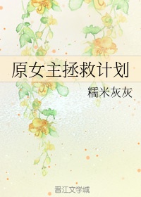 埃罗芒阿老师小说