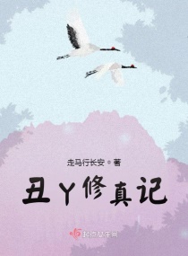 《不婚》作者:茶茶好萌