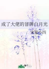 扶摇小说