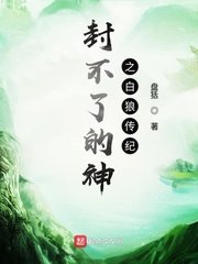 大军师司马懿之军师联盟电视剧