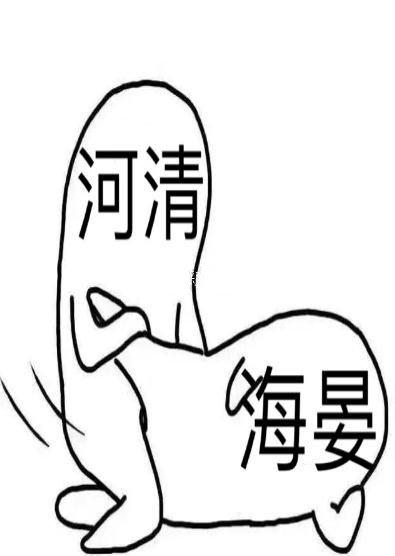 小说大唐双龙传