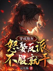 新编三宝局长完整版