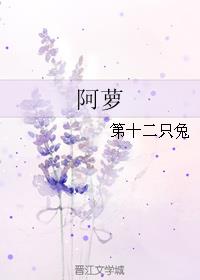 我的教师生涯