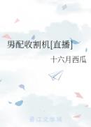 一树梨花压海棠完整版多少时间