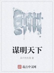 将军只爱我的钱