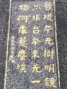 陆瑶邵允琛txt