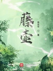 魔道祖师免费观看全集完整版高清