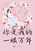 宠妻如命 小说