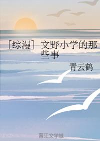 风流官途干妈未删版